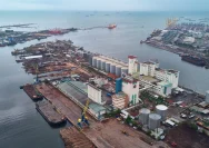 Investor Malaysia Siap Garap Geothermal dan Pelabuhan di Jawa Tengah