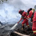 Kebakaran Hutan Meluas, Pemadam Kekurangan Personel dan Medan Sulit