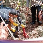 Kerangka Manusia Ditemukan di Hutan Sumber Rembang, Polisi Segera Selidiki
