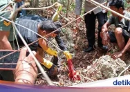 Kerangka Manusia Ditemukan di Hutan Sumber Rembang, Polisi Segera Selidiki