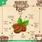 Manfaat Kopi bagi Tubuh dan Fokus: Apakah Benar Membantu Konsentrasi?
