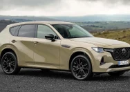 Mazda CX-60 Sport 2026: SUV Premium yang Menggabungkan Performa dan Kenyamanan