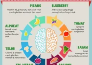 Nutrisi Penting untuk Perkembangan Otak Si Kecil: 5 Tips untuk Tumbuh Kembang yang Optimal
