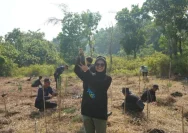 Pemkab Kebumen Tanam 14.300 Bibit Pohon di Kawasan Pesisir Dukung Program Mageri Segoro