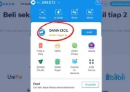 Penyebab DANA Cicil Tidak Muncul dan Cara Memunculkannya