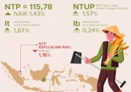 Petani Pati Terganggu Kemarau Terik dan Kenaikan Nilai Tukar Rupiah