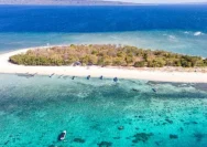 Pulau Tabuhan: Destinasi Wisata Baru di Selat Bali