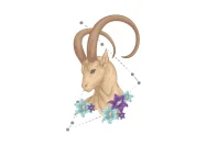Ramalan Zodiak Capricorn Juni 2026: Peluang Emas Karir dan Dinamika Finansial di Tengah Tahun