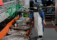 Repdem Desak Kejagung Bekukan Dapur MBG di Purwakarta