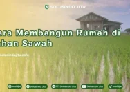 Tips Aman Membangun Rumah di Lahan Sawah