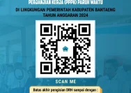 Anggaran Daerah Membatasi Implementasi PPPK Paruh Waktu, Ratusan Pemda Risiko Gagal Penuhi Aturan