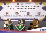 DKPPP Tabalong Gelar Pelatihan Juru Sembelih Halal Menyambut Idul Adha 1447 H