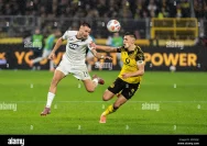 Dortmund vs Hoffenheim: Kekalahan Mematikan dan Jalan Bayern ke Gelar Bundesliga