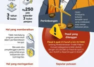 Hasto Kristiyanto Kecam Lantik Anak Bupati Malang: Tuduhan Meritokrasi Terganggu dan Panggilan Keadilan