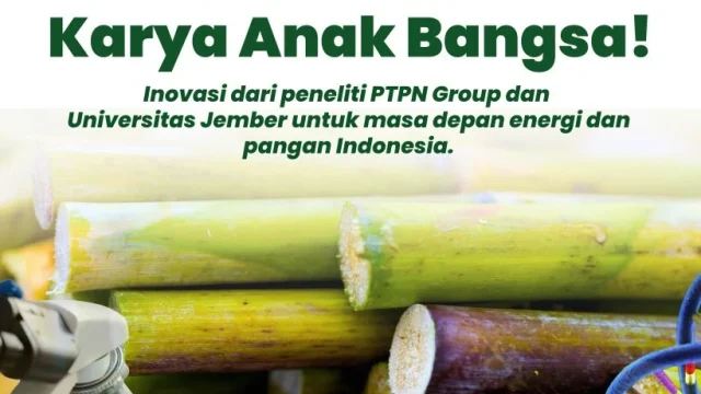 Hilirisasi Perkebunan: Kunci Penguatan Ketahanan Energi Nasional lewat Bioenergi Sawit, Tebu, Jagung, dan Singkong