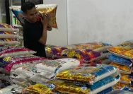 Lonjakan Harga Pangan pada 19 April 2026: Beras dan Minyak Goreng Naik Tajam, Beban Rumah Tangga Meningkat