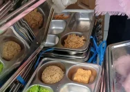 Nasi Goreng Tercemar Belatung, Program MBG di Kampar Kembali Disorot