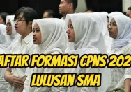 Peluang Emas CPNS 2026: Formasi Khusus untuk Lulusan SMA, Fresh Graduate, dan Peneliti BRIN
