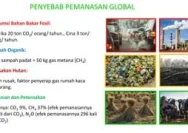 Ancaman Global: Sampah Antariksa dan Pemanasan Bumi Menghantui Pertanian Padi