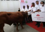 Atria Hotel Malang Berbagi Kebahagiaan Melalui Penyaluran Hewan Kurban Jelang Idul Adha