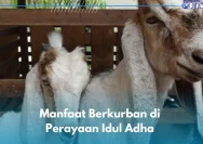Berkurban Idul Adha 2026 dengan Uang Utang: Boleh atau Tidak?
