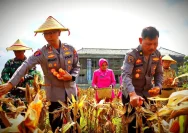 Bhabinkamtibmas Polres Trenggalek Dukung Ketahanan Pangan Melalui Pendampingan Petani