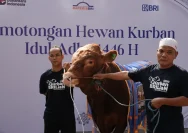 BRI Group Salurkan 5.000 Hewan Kurban untuk Masyarakat di Seluruh Indonesia