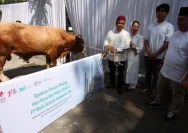 BSI Salurkan 24 Ribu Hewan Kurban untuk Idul Adha 1447 Hijriah