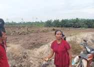 Bupati Berau Dorong PT TRH Beri Ganti Kerohiman Tanam Tumbuh
