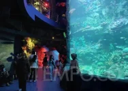 BXSea Bintaro: Destinasi Wisata Edukasi dan Hiburan Keluarga di Liburan Panjang