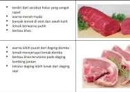 Cara Jitu Membedakan Daging Sapi, Kerbau, Kambing, dan Domba Menurut Pakar IPB