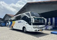 DAMRI Perkuat Rute Trip 3 Negara dengan Penambahan 10 Unit Bus Baru