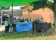 DKP3 Tabalong Sosialisasi Penanganan Hewan Kurban untuk Iduladha 1447 Hijriah