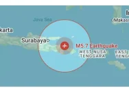 Gempa Bumi Dangkal Mengguncang Banyuwangi, BMKG Laporkan Magnitudo 2,4
