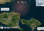 Gempa M 5,1 Guncang Bali, Warga Panik dan Respons Cepat dari Pihak Berwenang