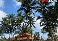 Hari Baik untuk Menanam Kelapa di Bali: Dewasa Ayu 28 Mei 2026