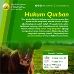 Hukum Qurban dalam Islam: Wajib atau Sunnah?