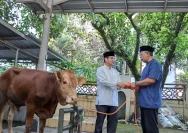 Idul Adha 1447 H: Momen Kebersamaan dan Semangat Berkurban di Masjid Baburroyyan
