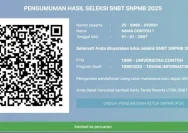 Inilah Cara Login dan Cek Pengumuman SNBT 2026 Secara Mudah