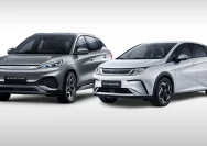 Inovasi Terbaru BYD: DOLPHIN Cargo e-Van dan Atto 3 yang Mengubah Pasar Mobil Listrik