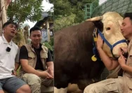 Irfan Hakim Menangis Melepas Popeye, Sapi Kesayangan untuk Kurban Idul Adha
