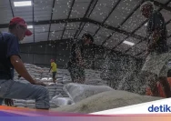 Kapasitas Gudang Bulog Hampir Penuh, Legislator Ingatkan Potensi Kerusakan Beras