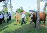 Kapolres Merangin Pimpin Pemotongan Hewan Qurban untuk Masyarakat Kurang Mampu
