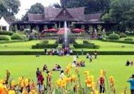 Kebun Raya Bogor Menjadi Destinasi Favorit Wisatawan dengan Pesona Begonia dan Kantong Semar
