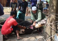 Kegiatan Gotong Royong BPN Depok: Potong 3 Sapi dan 14 Kambing di Hari Raya Idul Adha