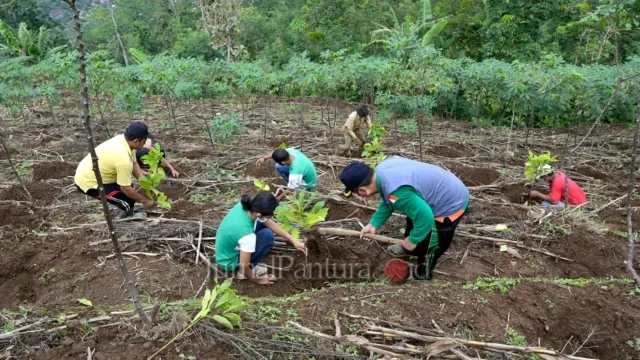 Konservasi Lingkungan di Lereng Muria Jepara: Melibatkan Ribuan Petani untuk Membangun Masa Depan