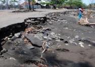 Krisis Pantura Jawa: 65,8% Garis Pantai Terancam Erosi dan Amblesan Tanah