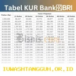 KUR BRI 2026: Peluang Emas Bagi UMKM dengan Plafon Hingga Rp500 Juta