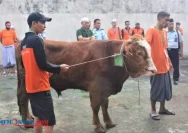 Lapas Kelas 1 Malang Rayakan Iduladha dengan Penyembelihan Sapi dan Kambing untuk Warga Binaan