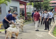 Lapas Perempuan Semarang Rayakan Iduladha dengan Sembelih 12 Hewan Kurban